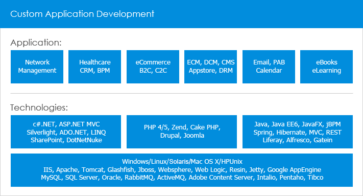 Custom Application Development