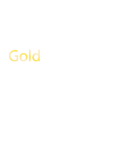 Microsoft Gold Partner